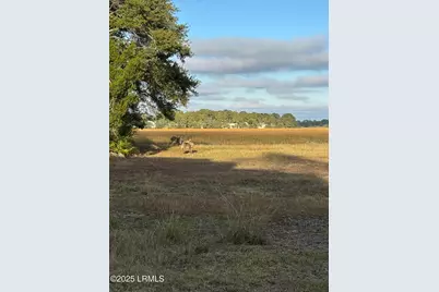 813 Speckled Trout Road, Ladys Island, SC 29920 - Photo 24