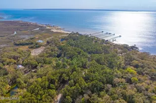 12 Vista Blvd W, Saint Helena Island, SC 29920 - Photo 1