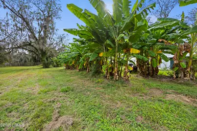 196 Country Craft Road, Estill, SC 29918 - Photo 36