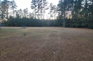 1114 Furman Nixville Pkwy, Estill, SC 29918 - Photo 24