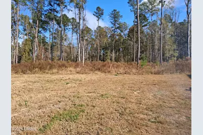 308 Ricochet Lane, Ruffin, SC 29475 - Photo 30