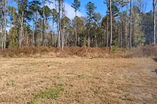 308 Ricochet Ln, Ruffin, SC 29475 - Photo 30