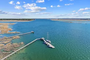 1 Wild Magnolia Ln, Okatie, SC 29909 - Photo 48