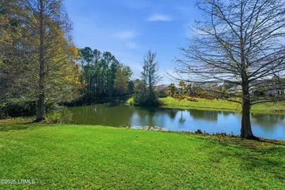 26 Lacebark Lane, Bluffton, SC 29909 - Photo 46