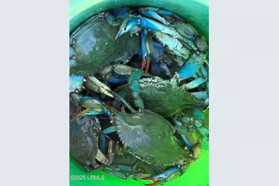 1185 Brotherhood Way, Beaufort, SC 29902 - Photo 62