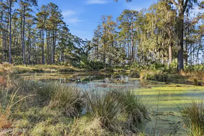 0 Rose Island, Port Royal, SC 29909 - Photo 50