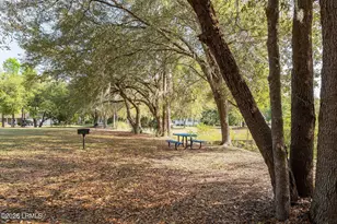 213 Black Skimmer Dr W, Beaufort, SC 29907 - Photo 50