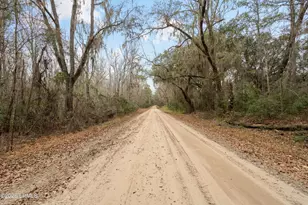 164 Paige Point Bluff, Seabrook, SC 29940 - Photo 60