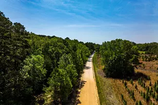 164 Paige Point Bluff, Seabrook, SC 29940 - Photo 54