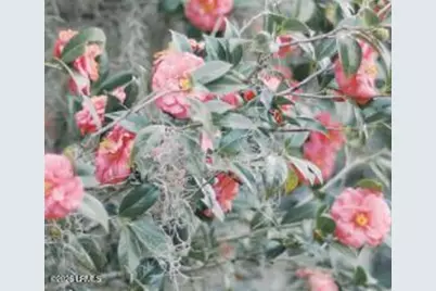 164 Paige Point Bluff, Seabrook, SC 29940 - Photo 58