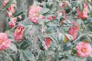 164 Paige Point Bluff, Seabrook, SC 29940 - Photo 58