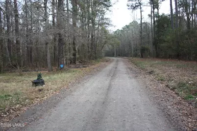 209 Dowlingwood Drive, Ridgeland, SC 29936 - Photo 8