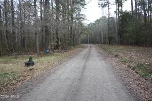 209 Dowlingwood Dr, Ridgeland, SC 29936 - Photo 8