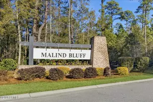 463 Danner Dr, Okatie, SC 29909 - Photo 4