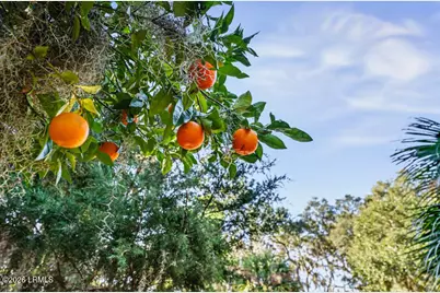 2001 Berkeley Circle, Port Royal, SC 29935 - Photo 2