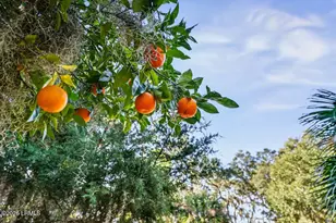 2001 Berkeley Circle, Port Royal, SC 29935 - Photo 2