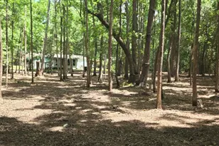 976 Sams Point Rd, Beaufort, SC 29907 - Photo 58