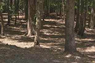 976 Sams Point Rd, Beaufort, SC 29907 - Photo 54