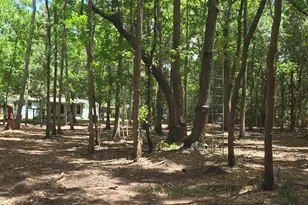976 Sams Point Rd, Beaufort, SC 29907 - Photo 60