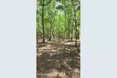 976 Sams Point Road, Beaufort, SC 29907 - Photo 56