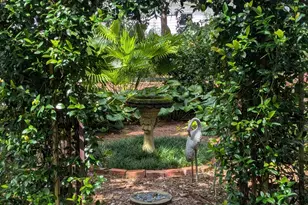 55 Park Square N, Beaufort, SC 29907 - Photo 46