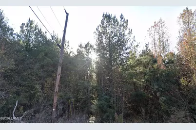 00 Oliver Street, Hampton, SC 29924 - Photo 2