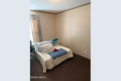 6204 Badham Drive, Reevesville, SC 29471 - Photo 20