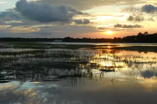 25 Reeve Ct, Saint Helena Island, SC 29920 - Photo 72