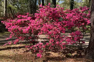 1610 Columbia Dr, Beaufort, SC 29906 - Photo 2