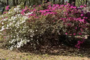 1610 Columbia Dr, Beaufort, SC 29906 - Photo 10