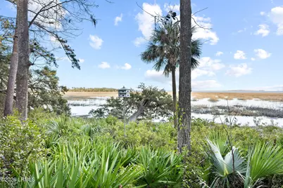 248 Spring Island Drive, Okatie, SC 29909 - Photo 20