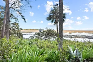 248 Spring Island Dr, Okatie, SC 29909 - Photo 20