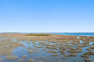 248 Spring Island Dr, Okatie, SC 29909 - Photo 84