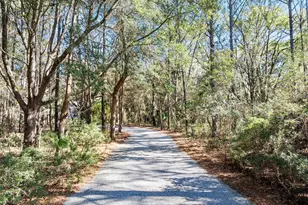 248 Spring Island Dr, Okatie, SC 29909 - Photo 76