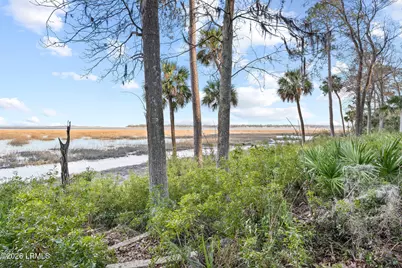 248 Spring Island Drive, Okatie, SC 29909 - Photo 86