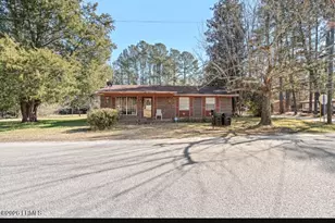 203 Bennicker Ln, Hampton, SC 29924 - Photo 4