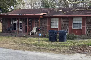 203 Bennicker Ln, Hampton, SC 29924 - Photo 1