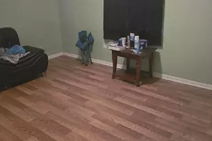 203 Bennicker Ln, Hampton, SC 29924 - Photo 12