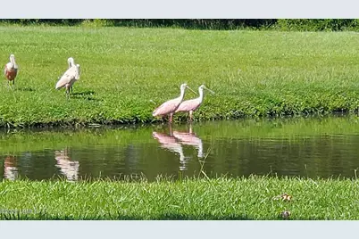 14A Marsh Harbor Drive, Beaufort, SC 29907 - Photo 32