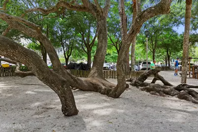 79 Lighthouse Road #2399, Hilton Head Island, SC 29928 - Photo 56