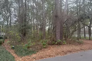 339 Westbrook Rd, Saint Helena Island, SC 29920 - Photo 1