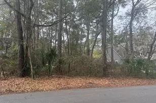 478 BB Sams Dr, Saint Helena Island, SC 29920 - Photo 1