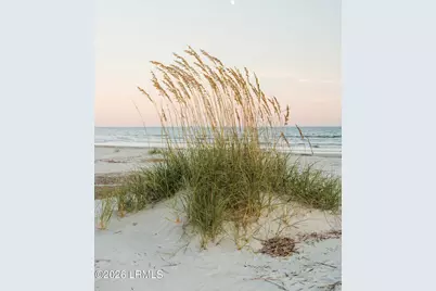 848 Marsh Dunes Road, Ladys Island, SC 29920 - Photo 20