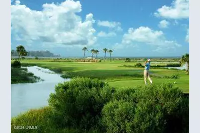 848 Marsh Dunes Road, Ladys Island, SC 29920 - Photo 32