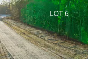 518 Evangelist Dr, Early Branch, SC 29916 - Photo 20