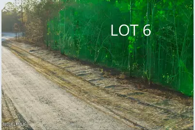 518 Evangelist Drive, Early Branch, SC 29916 - Photo 2