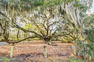 1812 Dolphin Row Dr, Beaufort, SC 29906 - Photo 72