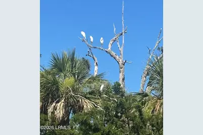 130 Sea Otter Lane, Ladys Island, SC 29920 - Photo 30