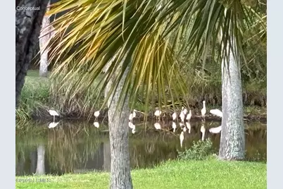 130 Sea Otter Lane, Ladys Island, SC 29920 - Photo 32