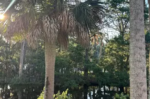 130 Sea Otter Ln, Ladys Island, SC 29920 - Photo 30